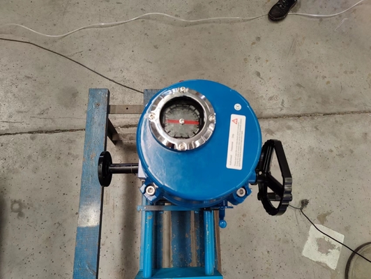 ANSI 150 ANSI 300 ANSI 600 Sleeve Plug Valve Piggable Valves Customized